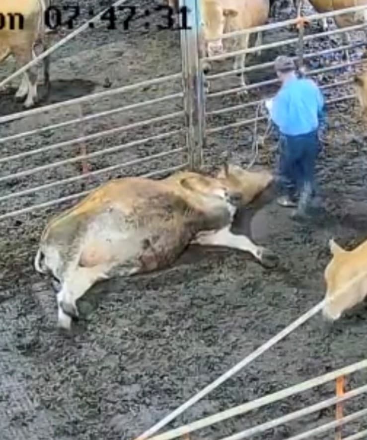 쓰러짐 감지 기능