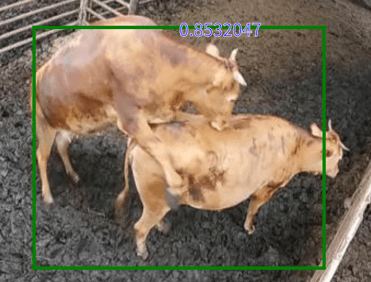 승가 감지 기능