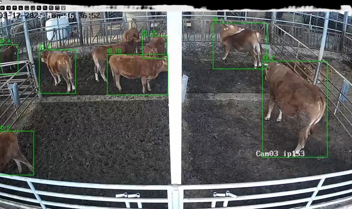 AI 영상 분석 기술 시연